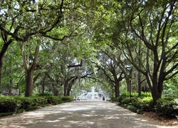 Georgia, Savannah, Forsyth, Park