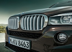 BMW X5 E70, Grill