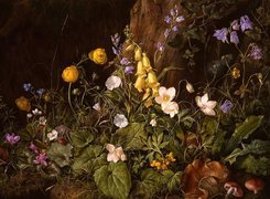 Franz Xaver Petter, Martwa Natura, Kwiaty