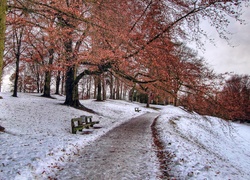 Zima, Park, Ławeczki