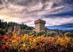 Kalifornia, Napa, Valley, Castello, Di Amorosa, Winnica