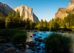 Stany Zjednoczone, Stan Kalifornia, Park Narodowy Yosemite, Góry Sierra Nevada, Las, Dolina, Rzeki