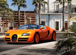 Bugatti Veyron Vitesse, Ulica, Palmy