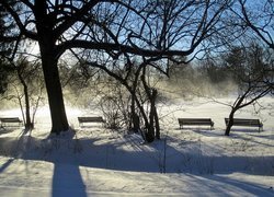 Park, Elizabeth, W Hartford, Zima, Mgła, Ławeczki