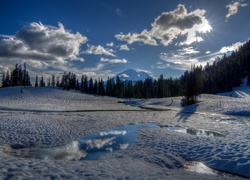 Stany Zjednoczone, Stan Waszyngton, Park Narodowy Mount Rainier, Zima, Jezioro Tipsoo, Las, Promienie Słońca