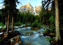 Kanada, Góry, Las, Rzeka,  Park Narodowy Banff