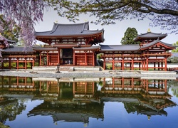 Wiosna, Buddyjska, Świątynia, Japonia