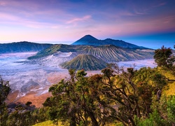 Góra, Bromo, Drzewa, Indonezja