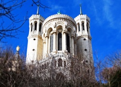 Katedra, Notre Dame, Paryż, Francja