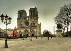 Paryż, Francja, Katedra, Notre, Dame, Choinka