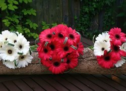 Bukiety, Kwiatów, Gerbera