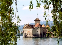 Zamek Chillon, Château de Chillon, Jezioro Genewskie, Kanton Vaud, Szwajcaria, Gałęzie, Drzewa