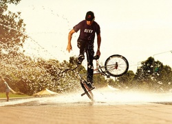 Bmx, Freestyle