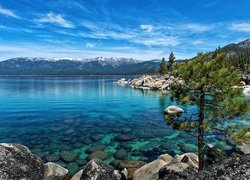 Nevada, Góry, Jezioro, Tahoe, Kamienie, Sosna