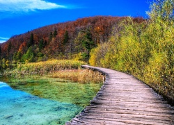 Jezioro, Las, Mostek