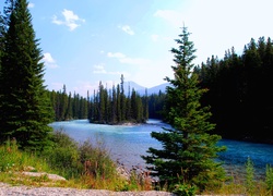 Kanada Rzeka, Las,  Park Narodowy Banff