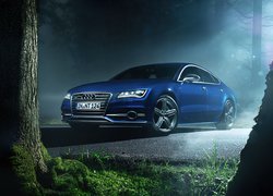 Audi, S7, Niebieski, Poświata