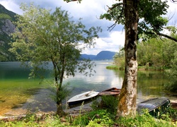 Park, Narodowy, Triglav, Góry, Jezioro, Bohinj, Łódki, Drzewa