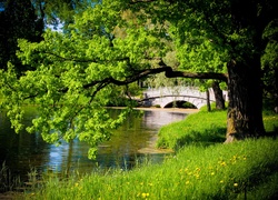 Rzeka, Mostek, Park, Kwiaty, Wiosna