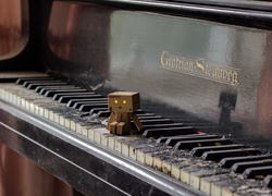 Danbo, Pianino