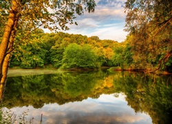 Jesień, Rzeka, Drzewa