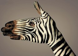 Bodypainting, Zebra