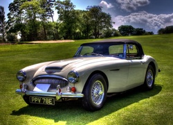 Austin, Healey 3000, Brytyjski, Zabytkowy, Samochód, Sportowy