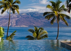 Góry, Morze, Basen, Palmy, Maui, Hawaje