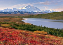 Alaska, Góry, Jezioro, Łąki