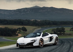 McLaren, 650S, Droga, Góry, Lasy