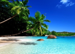 Ocean, Plaża, Wyspa, Tropiki