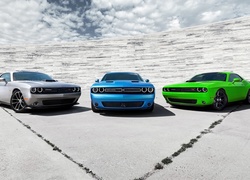 Dodge, Challenger, 2015, Zielony, Niebieski, Srebny
