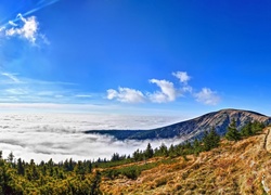 Góry, Las, Chmury
