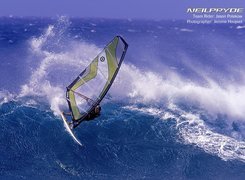 Windsurfing, Deska, Żagiel
