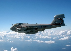 Grumman, EA6B, Prowler