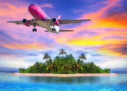 Różowy, Samolot, Wyspa, Palmy, Ocean