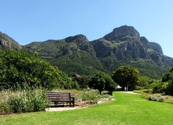 Góra, Stołowa, Park, Kirstenbosch