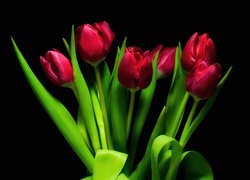 Czerwone, Tulipany, Bukiet
