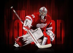 Hokej, Bramkarz, Detroit Red Wings, NHL