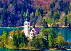 Kościół, Las, Jezioro, Bled, Słowenia