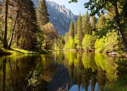 Stany Zjednoczone, Stan Kalifornia, Park Narodowy Yosemite, Góry, Rzeka, Las