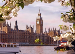 Parlament, Londyn, Anglia