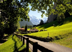 Góry, Droga, Camping Jungfrau, Lauterbrunnen, Szwajcaria