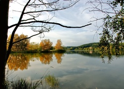 Rzeka, Drzewa, Góry, Lasy, Domy, Wiosna