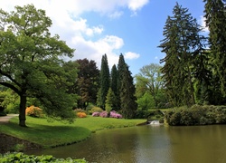 Pruhonice, Park, Staw, Przebijające, Światło