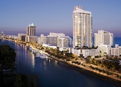 Miasto, Miami, Panorama, Palmy, Jachty, Ocean, USA