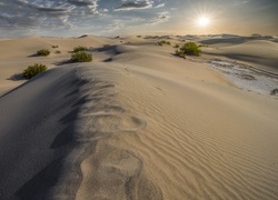 Pustynia, Park Narodowy Death Valley, Wydmy, Krzewy, Promienie, Słońca, Kalifornia, Stany Zjednoczone