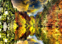 Jezioro, Las, Odbicie
