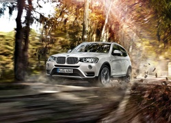 Bmw X3, Droga, Drzewa