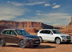 Bmw X5, Kanion